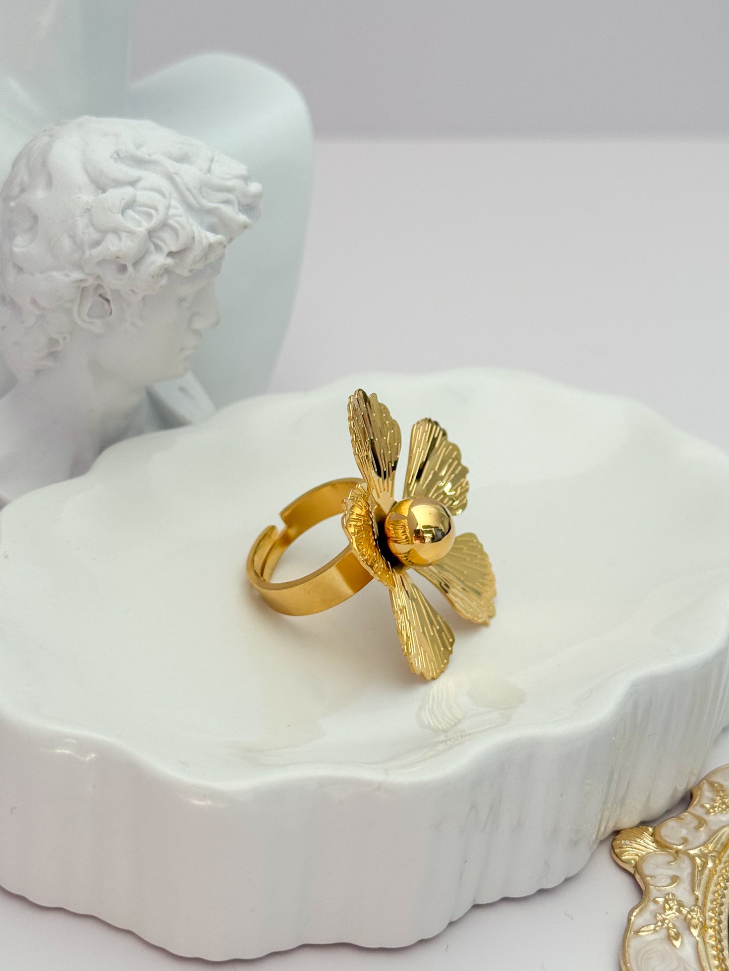ANILLO MAXI