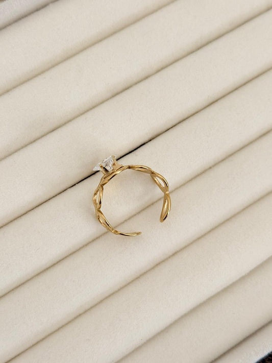 ANILLO EJE
