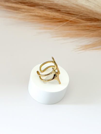 ANILLO DESEO