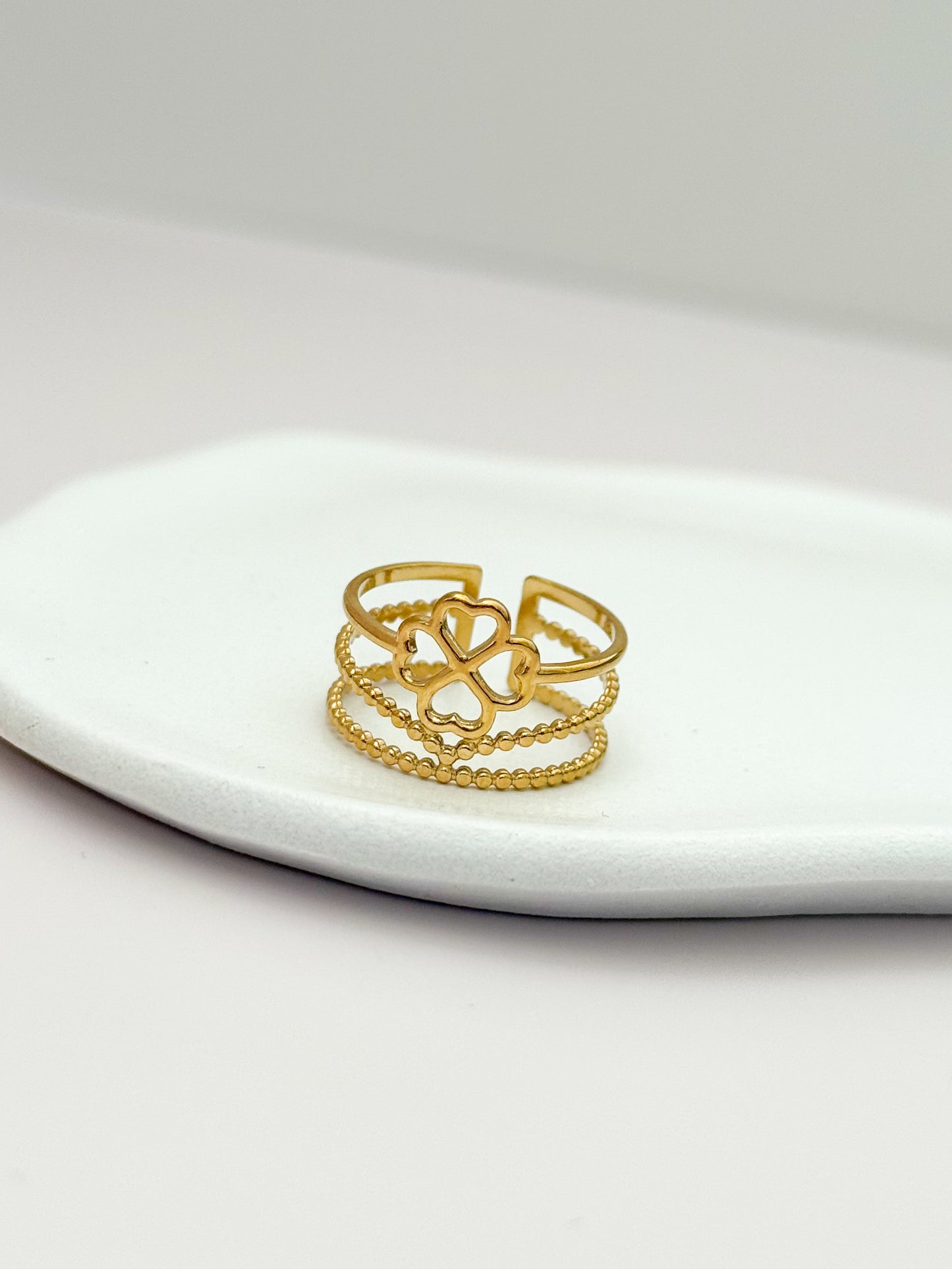 ANILLO EJE