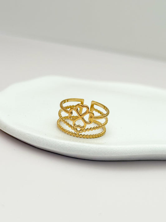 ANILLO EJE