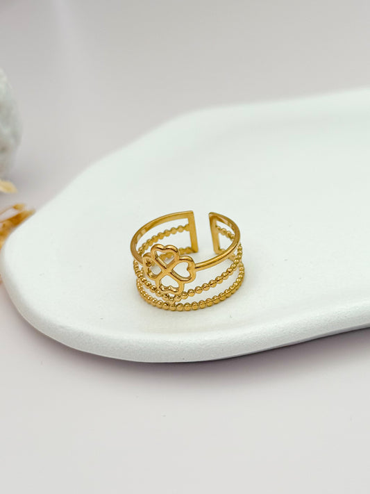 ANILLO EJE