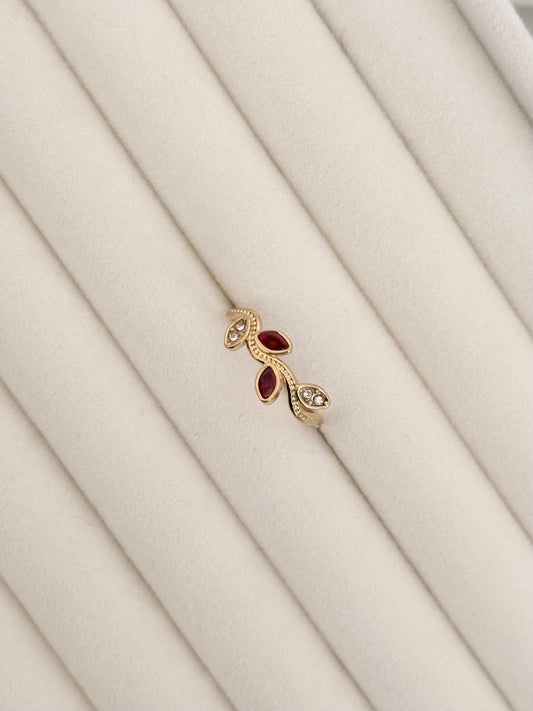 ANILLO IRIS