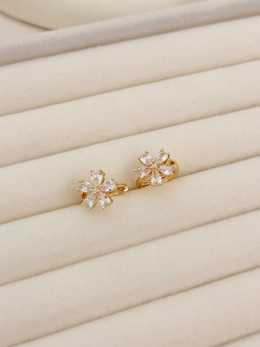 PENDIENTES BRILLIS