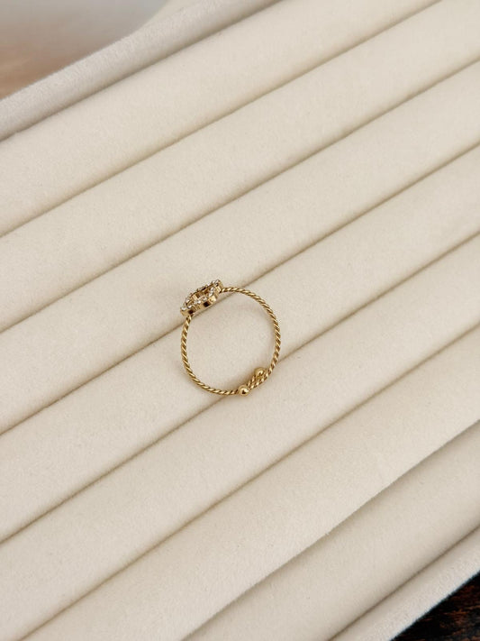 ANILLO KAI