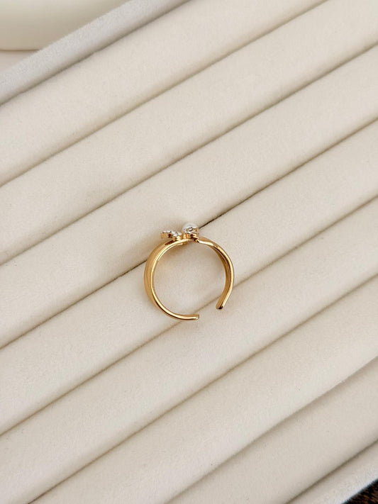 ANILLO REMA